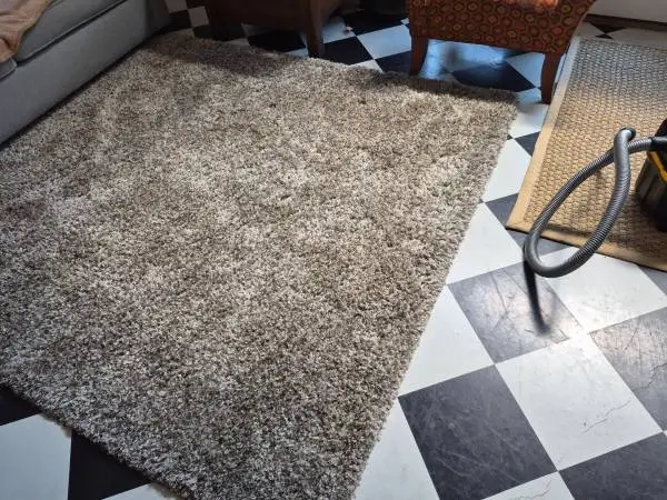 AREA RUG