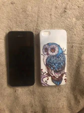 Apple iPhone 5 (16GB) Black & Slate (Unlocked) A1428 (GSM) owl case