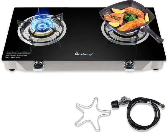 Propane Gas Stove
