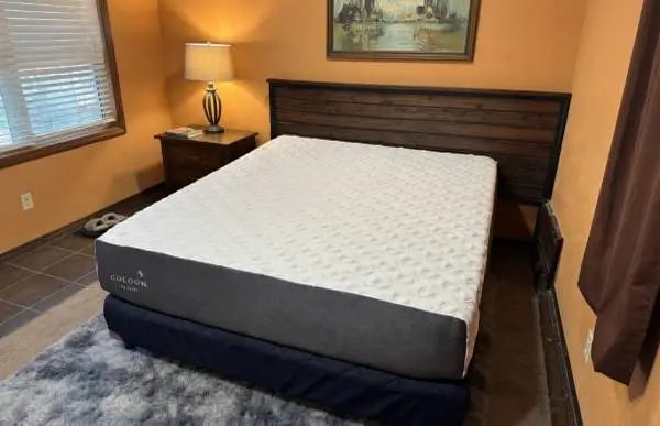 Queen Sealy Cocoon Memory Foam Plush Mattress Box Spring