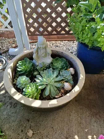 Glazed Ceramic Plant Pot & Ceramic Tray