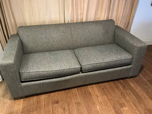 Sleeper sofa for sale $100 obo