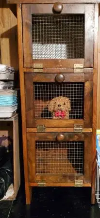 Cute wood Cubby Cabinet