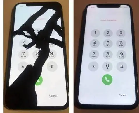 Cracked iPhone Screen? Fix It Cheap at Our Family-Owned Shop
