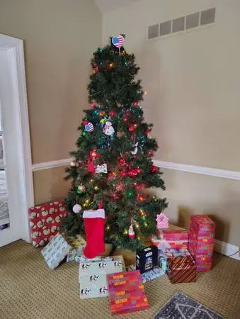 Christmas tree for $50 only