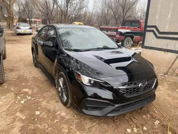 Mobile detailer