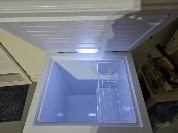 Chest Freezer/Refrigerator