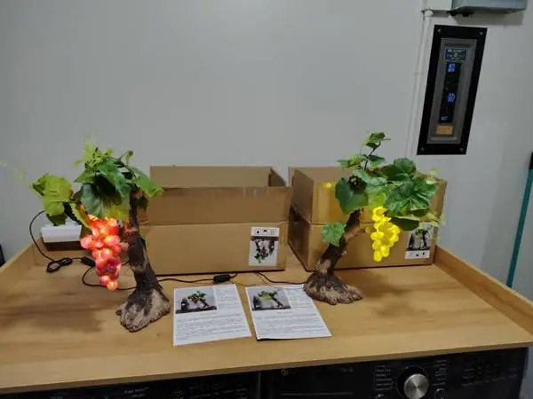 Brand New Realistic Artificial Grape LED Lamps ($90 each on Amazon)