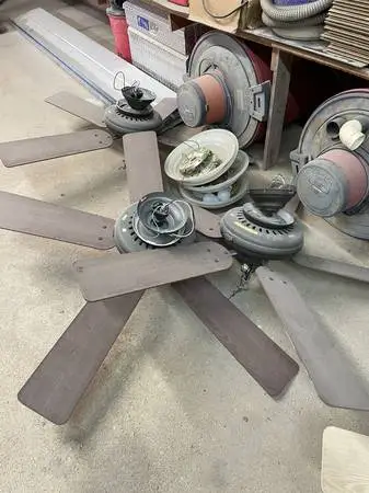 Hunter Ceiling Fans