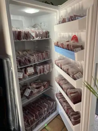 Auto defrost upright freezer