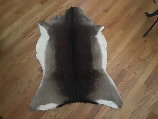 Genuine chamois skin from European mountains