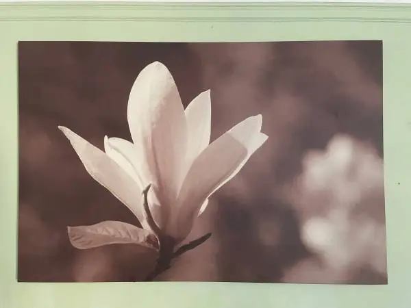 46.5” x 30.5” Flower Print On Canvas Modern Art Painting Picture