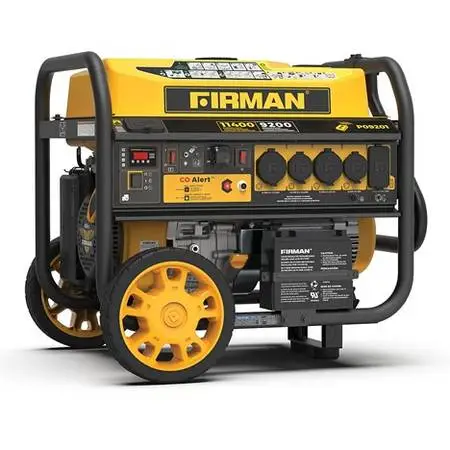 dual fuel generator