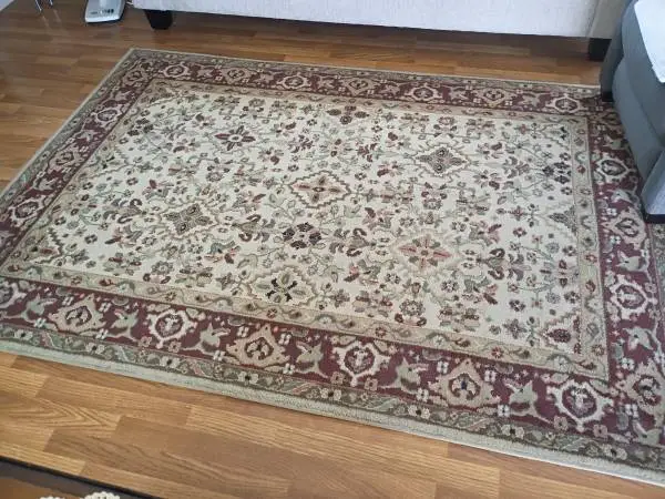 Area rug 5 x 7