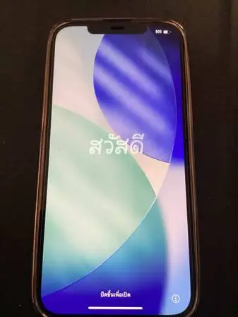iPhone 12 pro max  256 GB