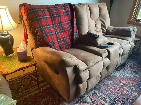 FREE—Dual Recliner Couch (Soft Leather)
