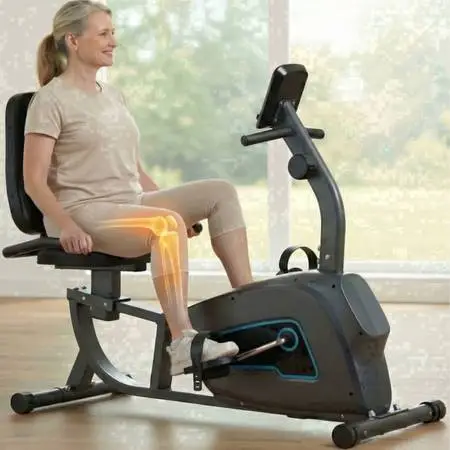 Exercise Bike Indoor Recumbent Exercise Bike Stationary with Adjustable Seat and