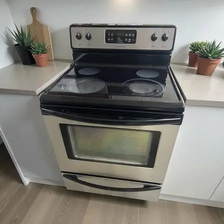 Frigidaire Stainless Steel Glass Top Electric Range