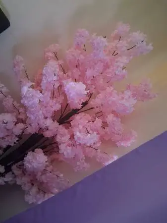 CHERRY