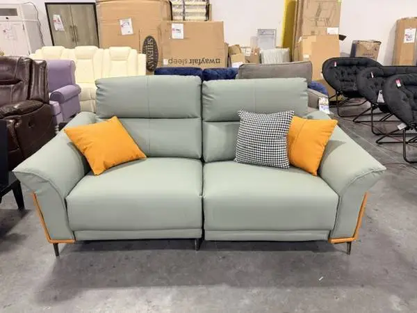 Latitude Run Green Genuine Leather Standard Sofa cushion Loveseat Sofa