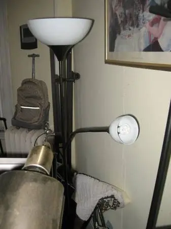 2 FLOOR LAMP W/Reading Light $15 Each