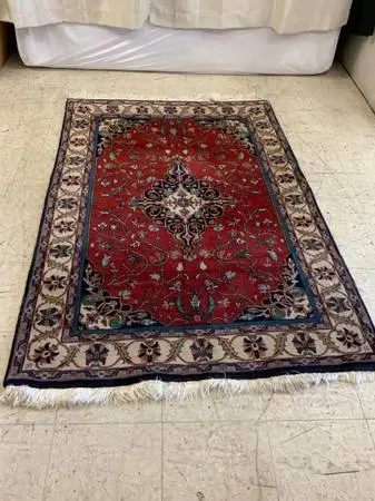 Hand knotted Indian rug