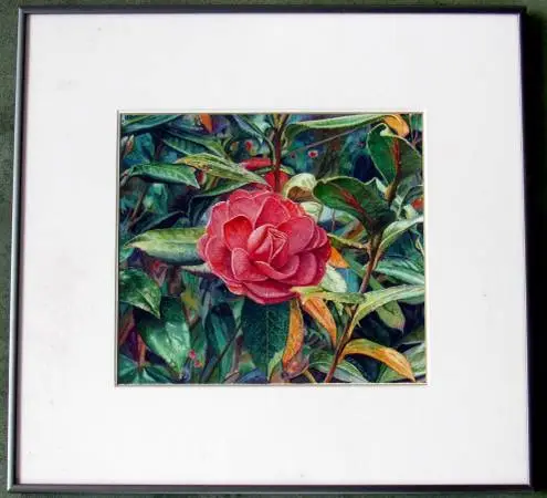 VERY FINE VNTG SGND WATERCOLOR RENDERING OF CAMELIA BLOOM GENE MEALOR