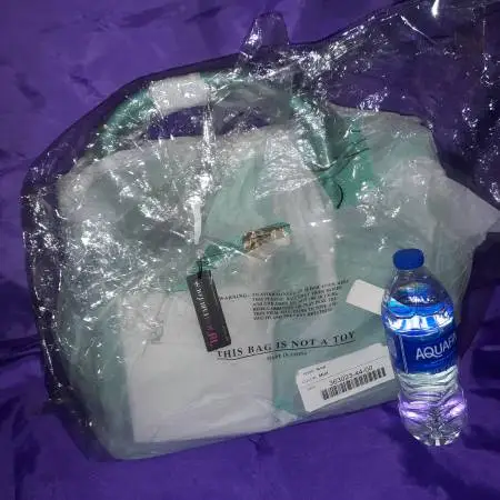 New Never opened Icon Purse/OBO