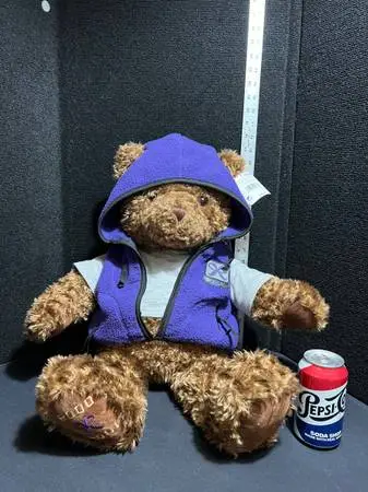 Whats Your Wish Gund Teddy Bear Plush 25” 2000 Joy Purple Fleece Vest