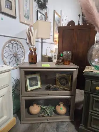 Lawyer Bookcase