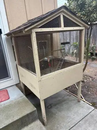 Big Bird Cage