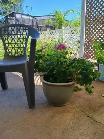 Glazed Ceramic Plant Pot