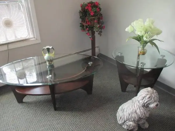 COFFEE AND END TABLE SET -