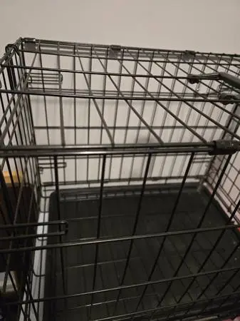 DOG CRATE!!! GET YOUR DOG CRATE!!!!