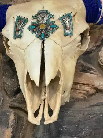 LARGE Bison Head Skull with Horns / Ready to Hang!