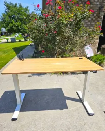 Electric Standing Desk