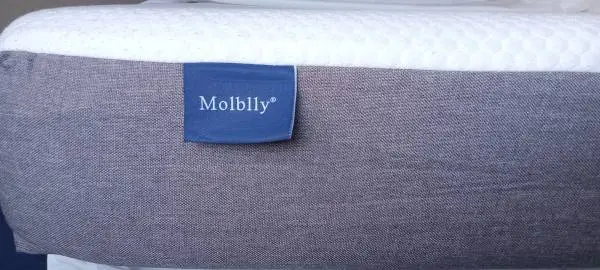 Mobility Foam Twin Plush Quilt Top XL Mattress,Metal Box Springs 38x78