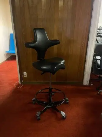 HAG Capisco 8106