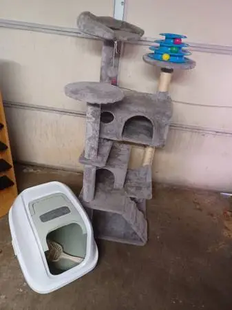 Cat Tower and Cat Box
