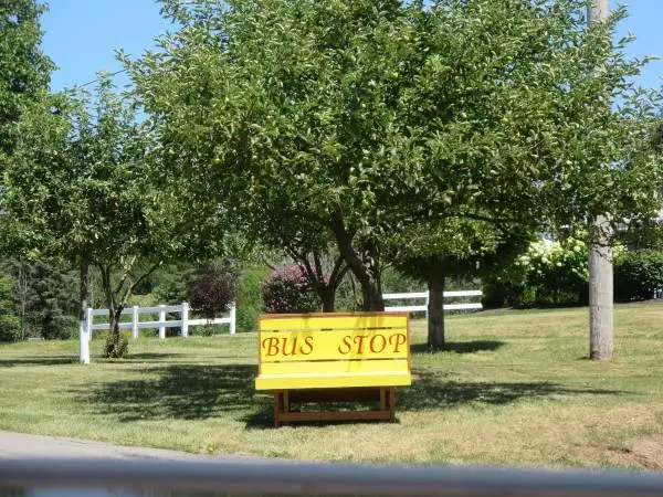 School Bus Bench
