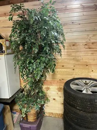 Cute decor tree