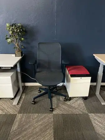 Herman Miller Cosm - Mesh Chair