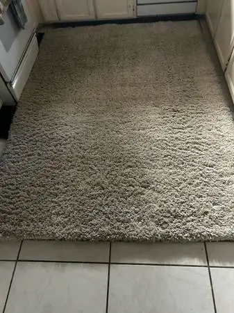 LIKE NEW THOMASVILLE ALLURE PREMIUM QUALITY SHAG RUG