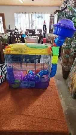 Multi-Level Hamster Cage
