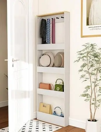 Behind the Door Book Shelf/Organizer