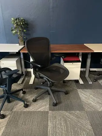 ** Posture-Fit Lumbar ** Herman Miller Aeron Classic