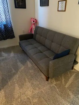 Sleeper Couch, Futon