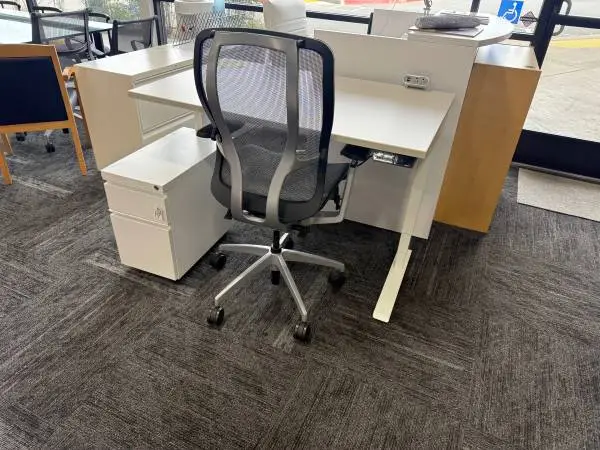 Work from home Height Adjustable Desk and Ergo Chair FREE DELIVERY!