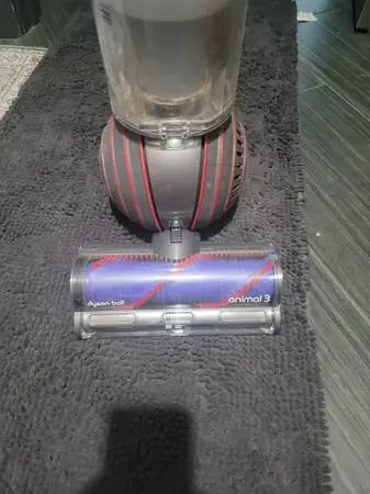 Dyson ball animal 3