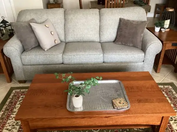 Couch (queen size sleeper) and Loveseat